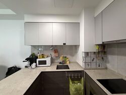 The Florence Residences (D19), Apartment #566481031